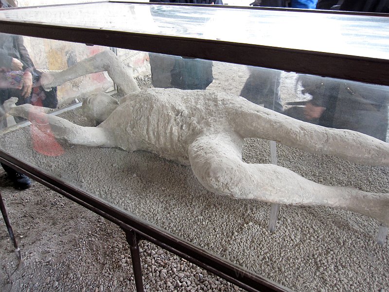 IMG_8320_1148a.jpg -                                