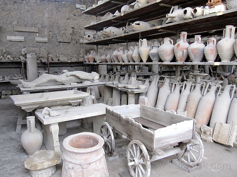 IMG_8320_1154a.jpg -                                